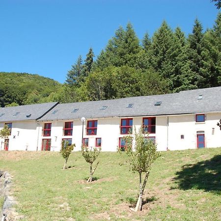 Gite Du Haut Cantal - Appartements Meubles Avec Kitchenette Et Chambres Sans Kitchenette Condat  Eksteriør billede