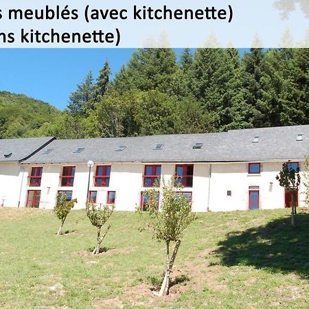 Gite Du Haut Cantal - Appartements Meubles Avec Kitchenette Et Chambres Sans Kitchenette Condat  Eksteriør billede