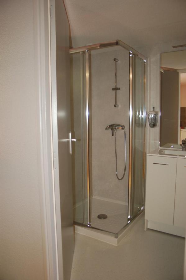 Gite Du Haut Cantal - Appartements Meubles Avec Kitchenette Et Chambres Sans Kitchenette Condat  Eksteriør billede