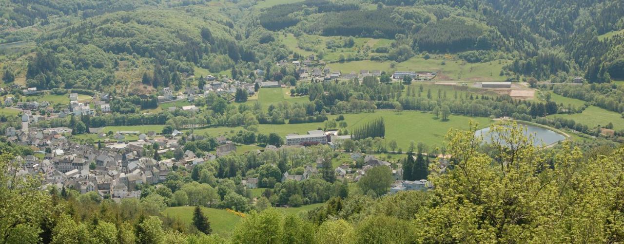 Gite Du Haut Cantal - Appartements Meubles Avec Kitchenette Et Chambres Sans Kitchenette Condat  Eksteriør billede