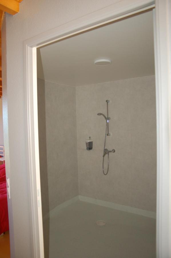 Gite Du Haut Cantal - Appartements Meubles Avec Kitchenette Et Chambres Sans Kitchenette Condat  Eksteriør billede