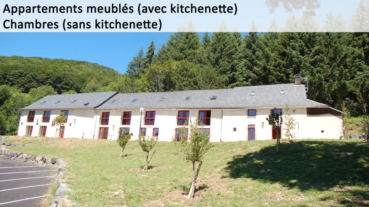 Gite Du Haut Cantal - Appartements Meubles Avec Kitchenette Et Chambres Sans Kitchenette Condat  Eksteriør billede